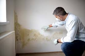 Best Mold Prevention Services  in Osage, IA